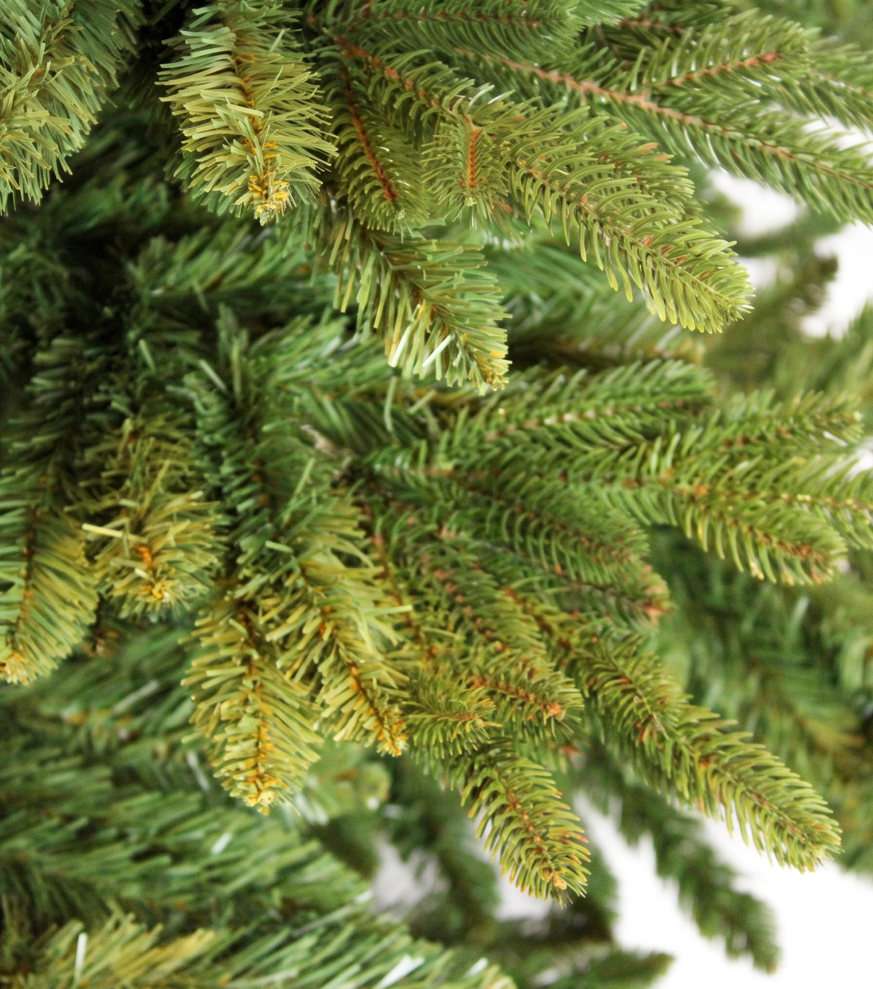 Christmas1967 foliage detail