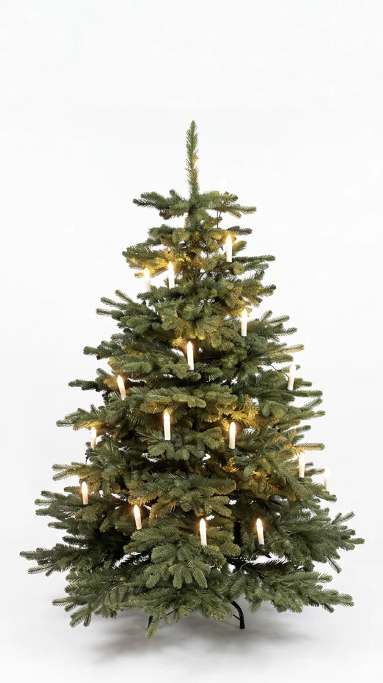 Christmas1967 tree with candle lights