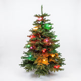 A 60s Celebration - 15+3 Multi Color C7 bulbs light chain