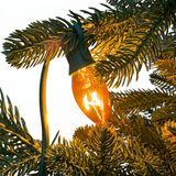 A 60s Celebration - 15+3 Multi Color C7 bulbs light chain