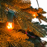 A 60s Celebration - 15+3 Multi Color C7 bulbs light chain