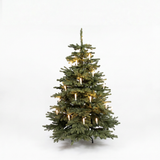 Nostalgic Christmas tree Candle lights - LED wired 20 candles on 6m