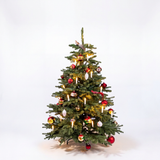 Christmas 1967 Signature set - 150cm