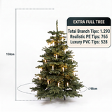 Echte, natuurgetrouwe kerstboom 150 cm + gratis lampjes naar keuze